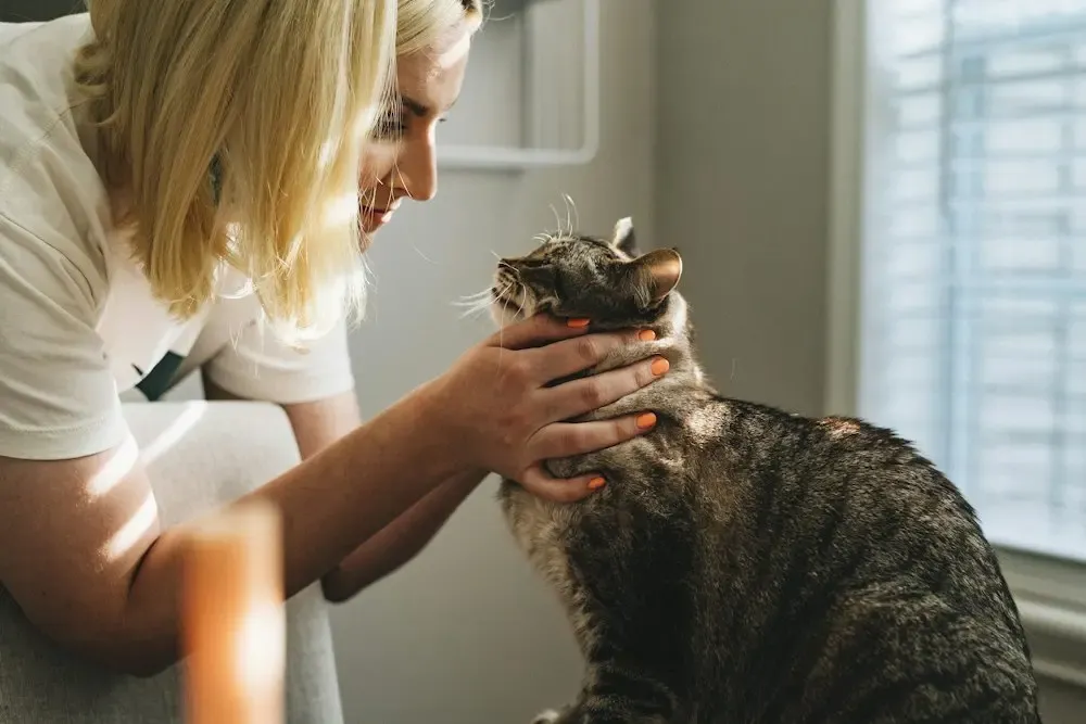 A woman gently holding a tabby cat’s face